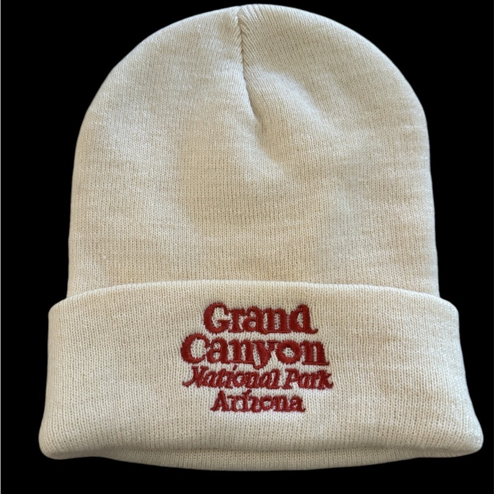 Urban Outfitters American Needle Beanie NWOT